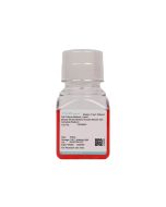 Mouse Small Intestine Smooth Muscle Cell Complete Medium procell CM-M043