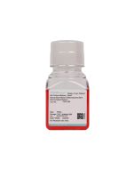 Human Bone Marrow Mesenchymal Stem Cell Complete Medium procell CM-H166