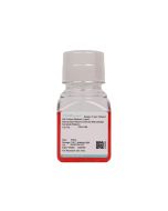 Human Bone Marrow-Derived Macrophage Complete Medium procell CM-H186