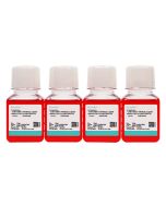 DMEM (Low glucose) Complete Medium (10) procell PM150220B
