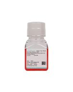 Human Placental Mesenchymal Stem Cell Complete Medium procell CM-H204