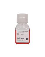 Mouse Vaginal Wall Fibroblast Complete Medium procell CM-M318