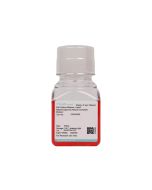 Rabbit Dopamine Neuron Complete Medium procell CM-Rb209