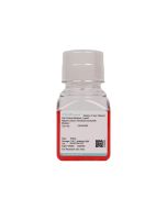 Rabbit Colonic Fibroblast Complete Medium procell CM-Rb293