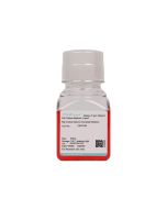 Rat Cortical Neuron Complete Medium procell CM-R105