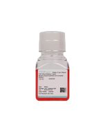 Mouse Gingival Epithelial Cell Complete Medium procell CM-M198