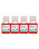 HuH-6 (DMEM) Cell Complete Medium procell CM-0119