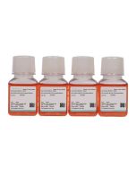 NCI-H146 [H146] Cell Complete Medium procell CM-0693