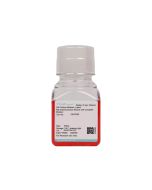 Rat Gastrocnemius Muscle Cell Complete Medium procell CM-R326