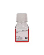 Rabbit Amniotic Fibroblast Complete Medium procell CM-Rb264