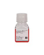 Mouse Embryonic Hepatoblast Cell Complete Medium procell CM-M224