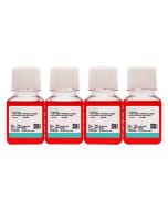H-4-II-E [H4-II-E] Cell Complete Medium procell CM-0088