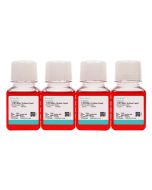 143B Cell Complete Medium procell CM-1031