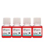 L5178Y TK+/- clone (3.7.2C) Cell Complete Medium procell CM-0455