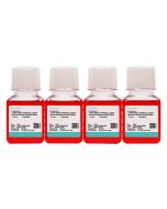 MDA-MB-361 (DMEM) Cell Complete Medium procell CM-0553B