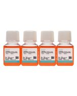 H9 [derivative of HuT 78] Cell Complete Medium procell CM-0499