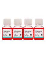 Hep-53.4 Cell Complete Medium procell CM-1077