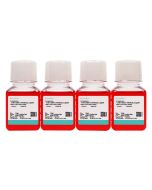 Mahlavu Cell Complete Medium procell CM-0735