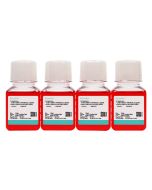 NG108-15 [108CC15] Cell Complete Medium procell CM-0170