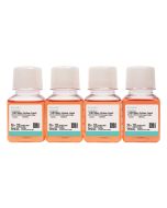 HUV-EC-C [HUVEC] Cell Complete Medium procell CM-0122