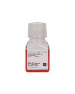 Rat Retinal Pigment Epithelial Cell Complete Medium procell CM-R116