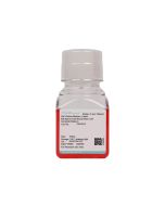 Rat Spinal Cord Neural Stem Cell Complete Medium procell CM-R313