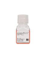 Human Peripheral Blood Lymphocyte Cell Complete Medium procell CM-H211
