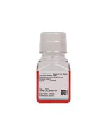 Rabbit Retinal Pigment Epithelial Cell Complete Medium procell CM-Rb003