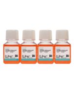 SW837 (DMEM) Cell Complete Medium procell CM-0485B