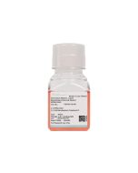 Nanobacteria Removal Medium (RPMI-1640) procell PM150110-HR