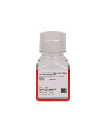 Mouse Olfactory Epithelial Cell Complete Medium procell CM-M149