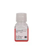 Mouse Tracheal Epithelial Cell Complete Medium procell CM-M004