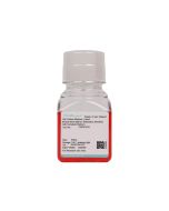 Mouse Bone Marrow Maturation Dendritic Cell Complete Medium procell CM-M151B