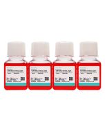 McCoy's 5A (with HEPES) Complete Medium (10) procell PM150711B