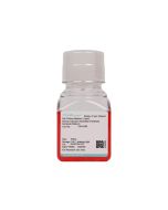 Human Vascular Adventitial Fibroblast Complete Medium procell CM-H200