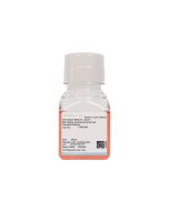 Rat Hepatic Nonparenchymal Cell Complete Medium procell CM-R245
