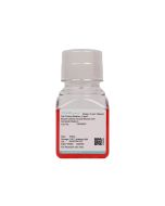 Mouse Uterine Smooth Muscle Cell Complete Medium procell CM-M052