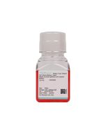 Rabbit Tracheal Epithelial Cell Complete Medium procell CM-Rb022