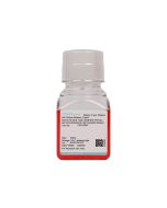 Human Alveolar Type II Epithelial (Primary cell immortalization) Cell Complete Medium procell CM-H209Y