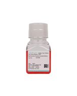 Rat Bronchial Fibroblast Complete Medium procell CM-R008