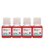 WISH Cell Complete Medium procell CM-0244
