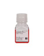 Mouse Renal Tubular Epithelial Cell Complete Medium procell CM-M062