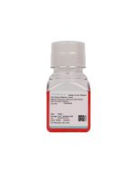 Rabbit Pulmonary Artery Smooth Muscle Cell Complete Medium procell CM-Rb342
