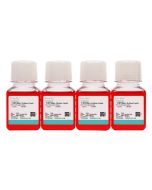 MPC-5 Cell Complete Medium procell CM-0855