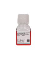 Mouse Splenic CD8+ T Cell Complete Medium (for Magnetically Isolated / Negatively Selected Cells) procell CM-M380