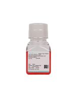Rat Brown Adipose-Derived Stem Cell Complete Medium procell CM-R229