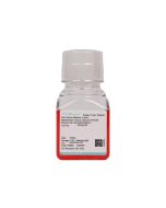 Rabbit Brain Venous Vascular Smooth Muscle Cell Complete Medium procell CM-Rb103