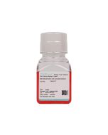 Rat Retinal Muller Cell Complete Medium procell CM-R117