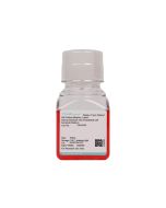 Human Intestinal Vein Endothelial Cell Complete Medium procell CM-H035