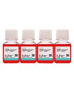 SW948 (DMEM) Cell Complete Medium procell CM-0629B